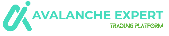 Avalanche Experts